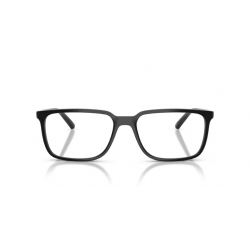 ARNETTE 7280 2900 55