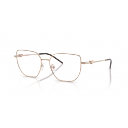 EMPORIO ARMANI 1176 3011 53