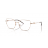 EMPORIO ARMANI 1176 3011 53