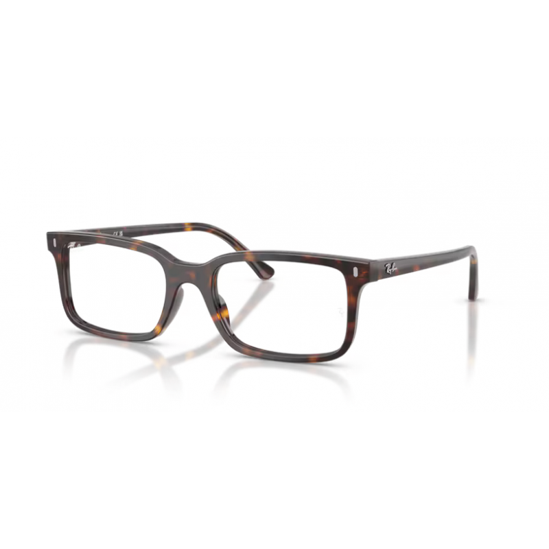 Ray-Ban® 5445 2012 52