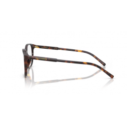 DOLCE & GABBANA 3426 502 53