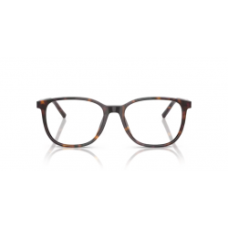 DOLCE & GABBANA 3426 502 53