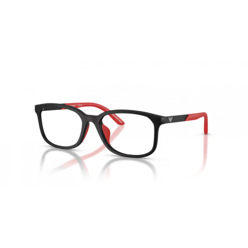 EMPORIO ARMANI 3008U 5009 48
