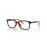 EMPORIO ARMANI 3008U 5009 48