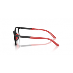 EMPORIO ARMANI 3008U 5009 48