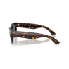 Ray-Ban® 0832S 902/R552
