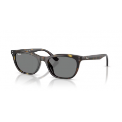 Ray-Ban® 4474D  710/8754