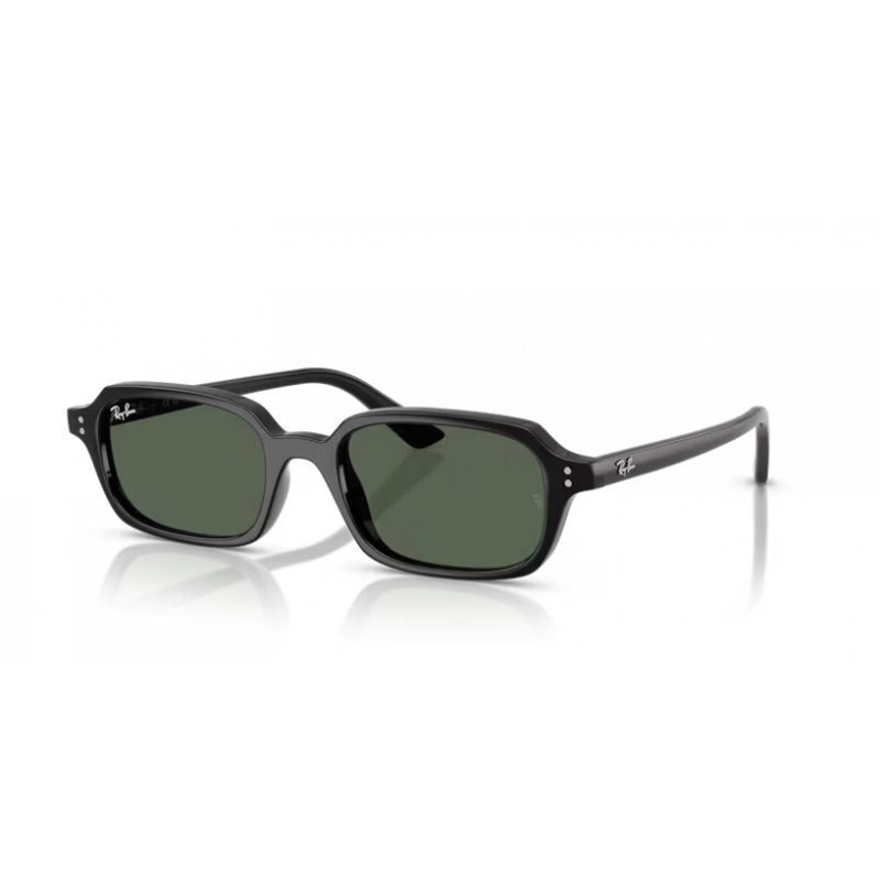 Ray-Ban® 4455 667771 52