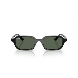 Ray-Ban® 4455 667771 52