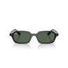 Ray-Ban® 4455 667771 52