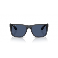 Ray-Ban® 4165 687380 55