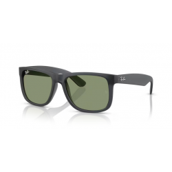 Ray-Ban® 4165 687382 55