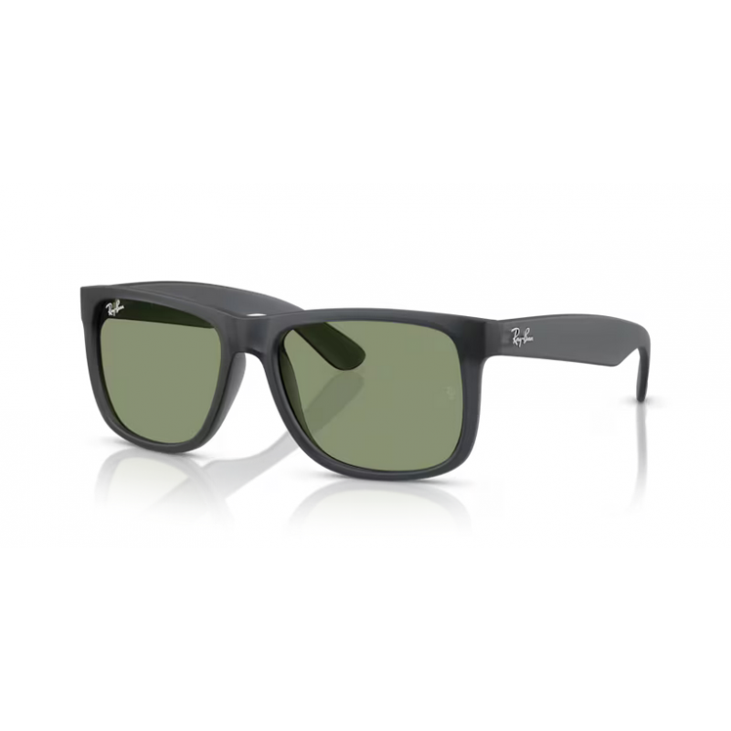 Ray-Ban® 4165 687382 55