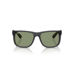 Ray-Ban® 4165 687382 55