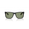 Ray-Ban® 4165 687382 55