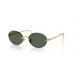 Ray-Ban® 3929 001/71 54