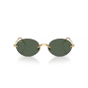 Ray-Ban® 3929 001/71 54