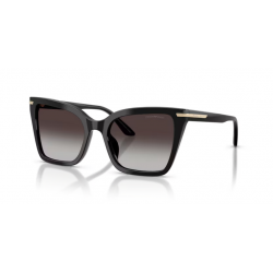 EMPORIO ARMANI 4273 50178G 53
