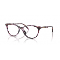 DOLCE & GABBANA 3443 3477 53