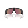 OAKLEY META 8001 06