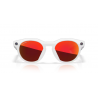 OAKLEY META 8002 04