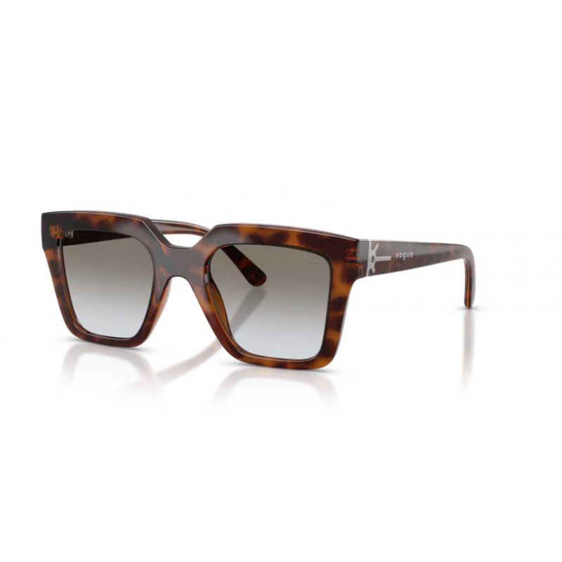 VOGUE 5690S 23868G 49