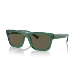 Ray-Ban® 4396 6681/354