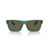 Ray-Ban® 4396 6681/354