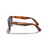 Ray-Ban® 4340 63973M 50