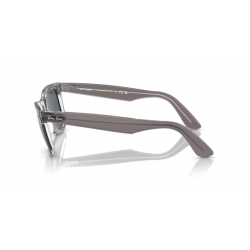Ray-Ban® 2140 1355R5 50