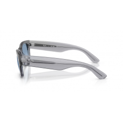 Ray-Ban® 0832S 6846 3F