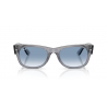 Ray-Ban® 0832S 6846 3F