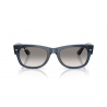 Ray-Ban® 0832S 6845 32