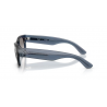 Ray-Ban® 0832S 6845 32