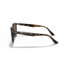 Ray-Ban® 4259 710/73