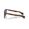 Ray-Ban® 2235 902/1A 53