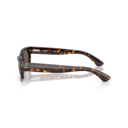 Ray-Ban® 2236 902/B1 54