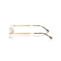Ray-Ban® 3792V 2500 55